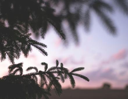 Rauch & Ritual – Praxisworkshop zu den Rauhnächten 2025