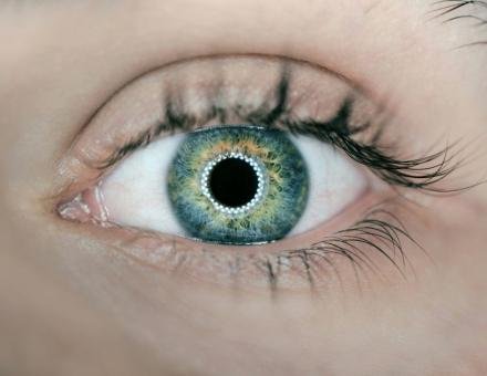 Augentraining BRAINKINETIK®