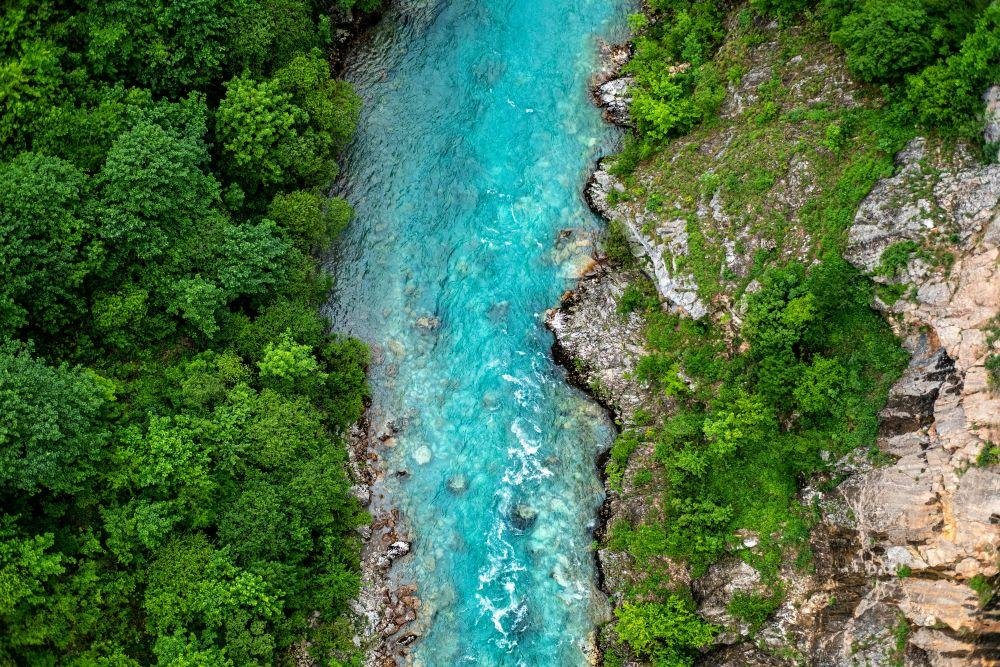 Der Fluss des Lebens