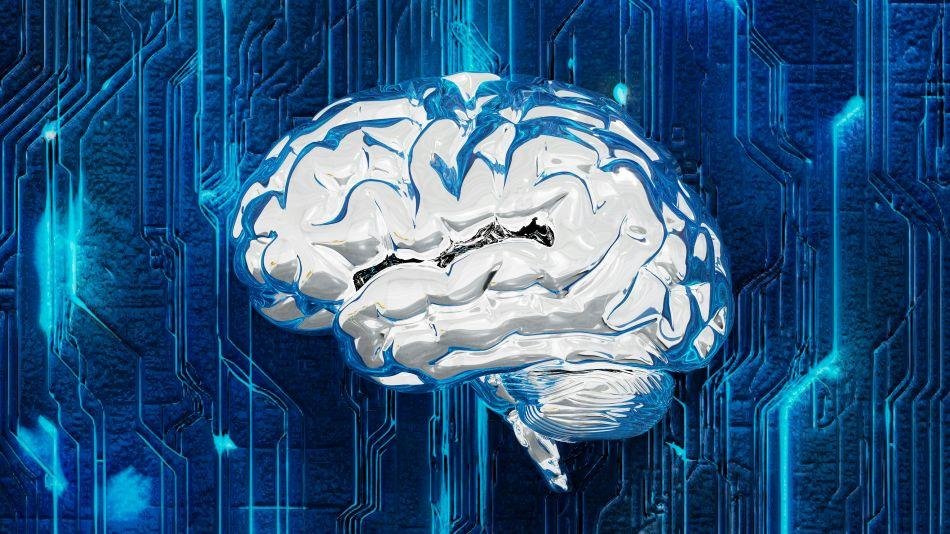 Inspira Wissen: Neuroplastizität