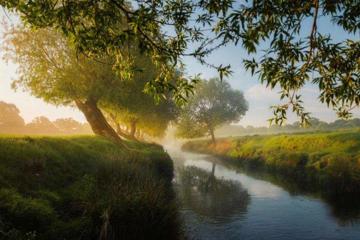 Der Fluss des Lebens
